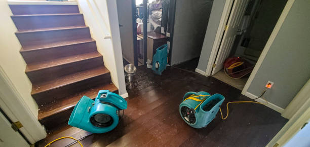 Best Water damage restoration company  in Watts Mills, SC