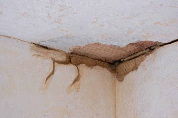 Best 24/7 water damage repair  in Watts Mills, SC