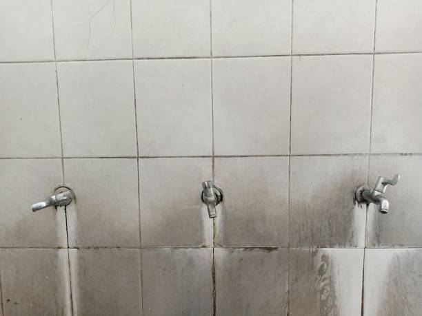 Best Water damage restoration near me  in Watts Mills, SC