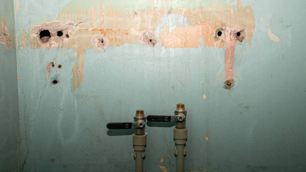 Best Flood restoration services  in Watts Mills, SC