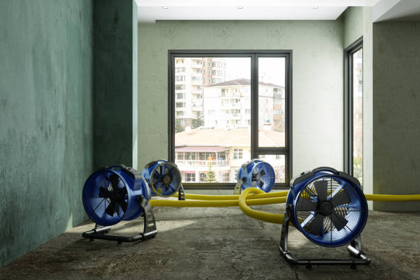 Best Local water damage restoration  in Watts Mills, SC