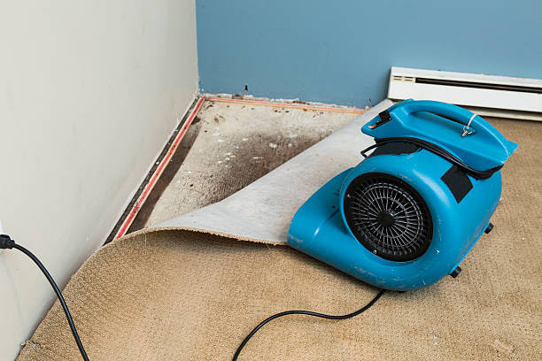 Best Water damage restoration near me  in Watts Mills, SC